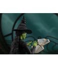 Wicked S.H. Figuarts Action Figure Elphaba 14 cm by Bandai Tamashii Nations