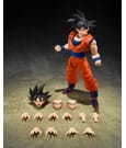 Dragon Ball Z S.H.Figuarts Action Figure Son Goku (The Kind-Hearted Saiyan) 14 cm by Bandai Tamashii Nations