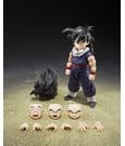 Dragon Ball Z S.H.Figuarts Action Figure Son Gohan (Z-Fighters) (Limited Edition Z-Fighters Group Base Ver. A) 11 cm by…