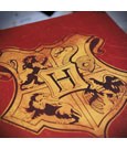 Harry Potter Collector Gift Box Harry Potter's Journey to Hogwarts Collection by FaNaTtik