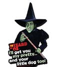 The Wizard of Oz Funky Chunky Magnet I'll Get You... by Aquarius