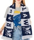 Harry Potter Scarf Ravenclaw by CID