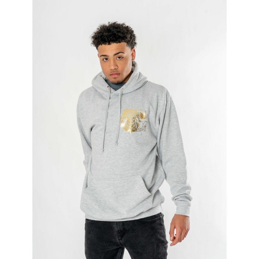 CID Harry Potter Hooded Sweater Gryffindor Zodiac | Makochan