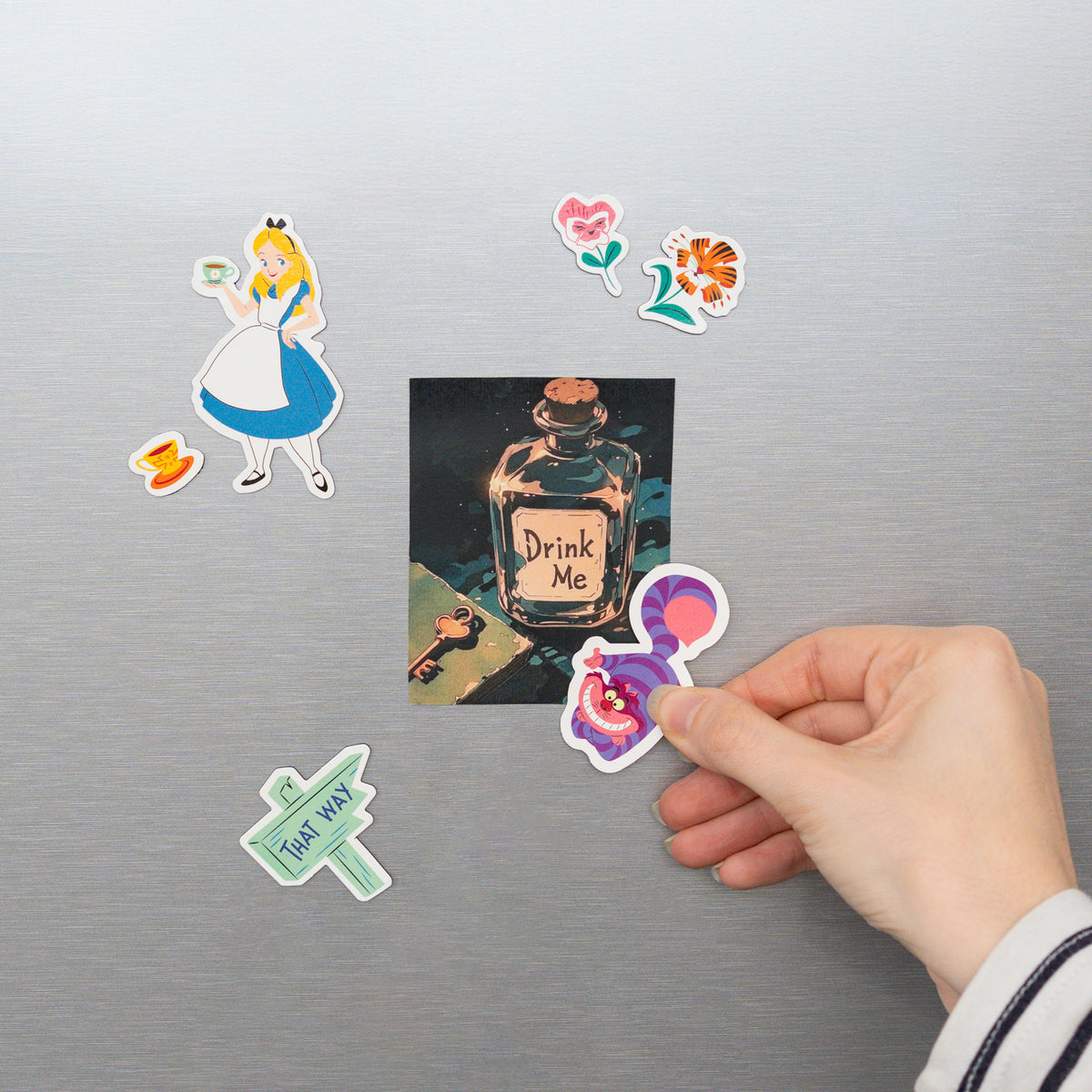 ALICE IN WONDERLAND - Cheshire Cat - Magnets Set