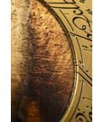 Lord of the Rings Coin with Display Stand The Fellowship by AAA Merchandise