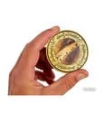 Lord of the Rings Coin with Display Stand The Fellowship by AAA Merchandise