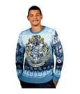 Harry Potter Christmas Sweater Hogwarts by AAA Merchandise