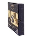 Harry Potter Replica Marauder's Map Metal Map 15 cm by AAA Merchandise