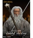 Lord of the Rings Dynamic 8ction Heroes Action Figure 1/9 Gandalf the Grey 21 cm by Beast Kingdom Toys