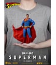 DC Comics Action Figure Superman 20 cm by Beast Kingdom Toys