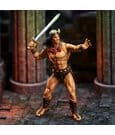 Conan the Barbarian Epic H.A.C.K.S. Action Figures The Tower of the Elephant Set: Young Conan and Yag Kosha by Boss…