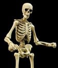 Epic H.A.C.K.S. Action Figure 1/12 Skeleton Blank Classic Bone by Boss Fight Studio
