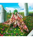 Saint Seiya Saint Cloth Myth Ex Action Figure Andromeda Shun (God Cloth) 17 cm by Bandai Tamashii Nations