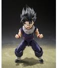 Dragon Ball Z S.H.Figuarts Action Figure Son Gohan (Z-Fighters) (Limited Edition Z-Fighters Group Base Ver. A) 11 cm by…