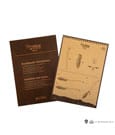 Harry Potter Replica Nimbus 2000 Magic Broom Junior by Cinereplicas