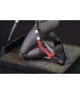 Tomb Raider PVC Statue The Legend of Lara Croft 19 cm by Dark Horse
