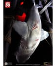 Jaws Maquette 1/12 Jaws 76 cm by Elite Creature Collectibles