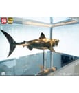 Jaws Maquette 1/18 Jaws Bronze 60 cm by Elite Creature Collectibles