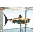 Jaws Maquette 1/18 Jaws Bronze 60 cm by Elite Creature Collectibles