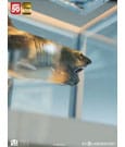 Jaws Maquette 1/18 Jaws Bronze 60 cm by Elite Creature Collectibles