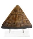 Jurassic Park Statue Triceratops Spike Prop (Reproduction) 19 cm by Elite Creature Collectibles