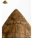 Jurassic Park Statue Triceratops Spike Prop (Reproduction) 19 cm by Elite Creature Collectibles