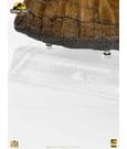 Jurassic Park Statue Triceratops Spike Prop (Reproduction) 19 cm by Elite Creature Collectibles