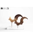 Jurassic Park ECC Elite Creature Line Statue Velociraptor Foot Claw and Fossil Claw Set 20 cm by Elite Creature…