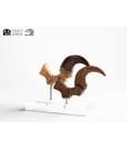 Jurassic Park ECC Elite Creature Line Statue Velociraptor Foot Claw and Fossil Claw Set 20 cm by Elite Creature…