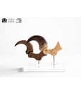 Jurassic Park ECC Elite Creature Line Statue Velociraptor Foot Claw and Fossil Claw Set 20 cm by Elite Creature…