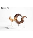 Jurassic Park ECC Elite Creature Line Statue Velociraptor Foot Claw and Fossil Claw Set 20 cm by Elite Creature…