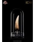 Jurassic Park III Prop Replica 1/1 Spinosaurus Tooth 14 cm by Elite Creature Collectibles