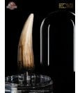 Jurassic Park III Prop Replica 1/1 Spinosaurus Tooth 14 cm by Elite Creature Collectibles