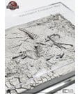 Jurassic Park III Excavation Map Velociraptor 27 cm by Elite Creature Collectibles
