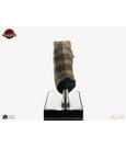 The Lost World: Jurassic Park Replica Bust 1/1 Junior T-Rex Prop (Reproduction) 39 cm by Elite Creature Collectibles