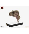 The Lost World: Jurassic Park Replica Bust 1/1 Junior T-Rex Prop (Reproduction) 39 cm by Elite Creature Collectibles