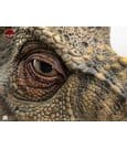 The Lost World: Jurassic Park Replica Bust 1/1 Junior T-Rex Prop (Reproduction) 39 cm by Elite Creature Collectibles