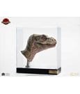 The Lost World: Jurassic Park Replica Bust 1/1 Junior T-Rex Prop (Reproduction) 39 cm by Elite Creature Collectibles