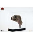 The Lost World: Jurassic Park Replica Bust 1/1 Junior T-Rex Prop (Reproduction) 39 cm by Elite Creature Collectibles