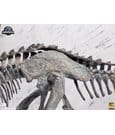 Jurassic World Statue 1/24 Indominus Rex Skeleton Bronze 24 cm by Elite Creature Collectibles