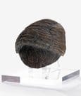 Jurassic Park 1/1 Replica Triceratops Toenail 16 cm by Elite Creature Collectibles