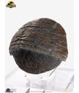 Jurassic Park 1/1 Replica Triceratops Toenail 16 cm by Elite Creature Collectibles