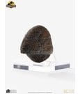 Jurassic Park 1/1 Replica Triceratops Toenail 16 cm by Elite Creature Collectibles