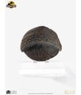 Jurassic Park 1/1 Replica Triceratops Toenail 16 cm by Elite Creature Collectibles