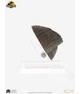 Jurassic Park 1/1 Replica Triceratops Toenail 16 cm by Elite Creature Collectibles