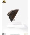 Jurassic Park 1/1 Replica Triceratops Toenail 16 cm by Elite Creature Collectibles