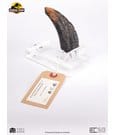 Jurassic Park 1/1 Replica Velociraptor Toenail Type A 11 cm by Elite Creature Collectibles