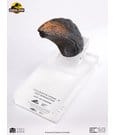 Jurassic Park 1/1 Replica Velociraptor Toenail Type A 11 cm by Elite Creature Collectibles