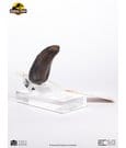Jurassic Park 1/1 Replica Velociraptor Toenail Type A 11 cm by Elite Creature Collectibles