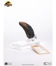 Jurassic Park 1/1 Replica Velociraptor Toenail Type A 11 cm by Elite Creature Collectibles